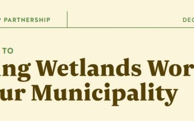 Making Wetlands Work in your Municipality